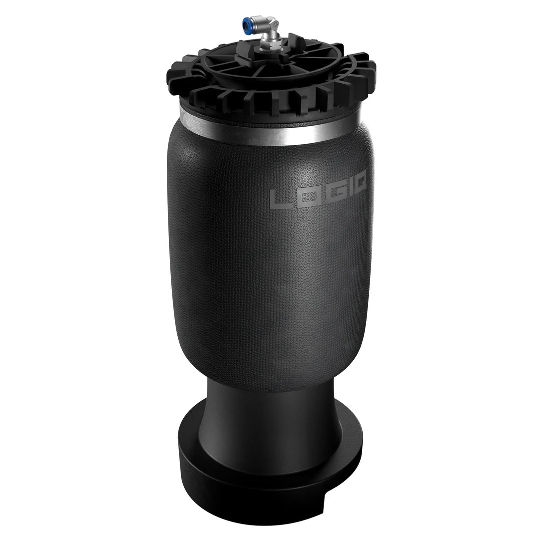 Logiq 2009+ RAM 1500 - Air Spring Kit